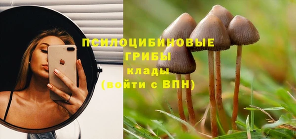 ешки Белокуриха