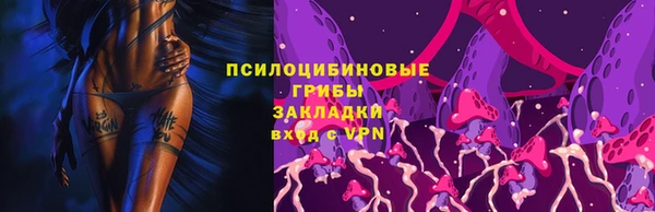 ешки Белокуриха
