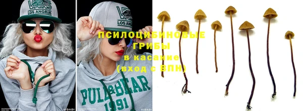спиды Ступино