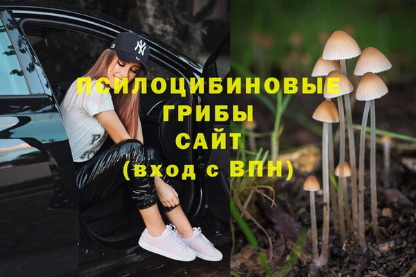 ешки Белокуриха