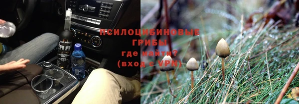 ешки Белокуриха